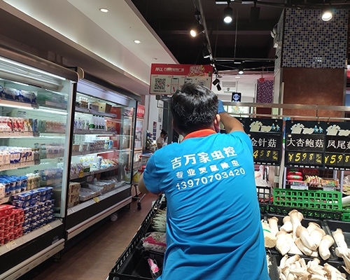 兴国超市消杀灭蟑灭鼠