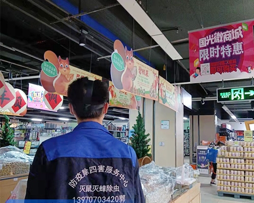 兴国超市杀虫灭鼠